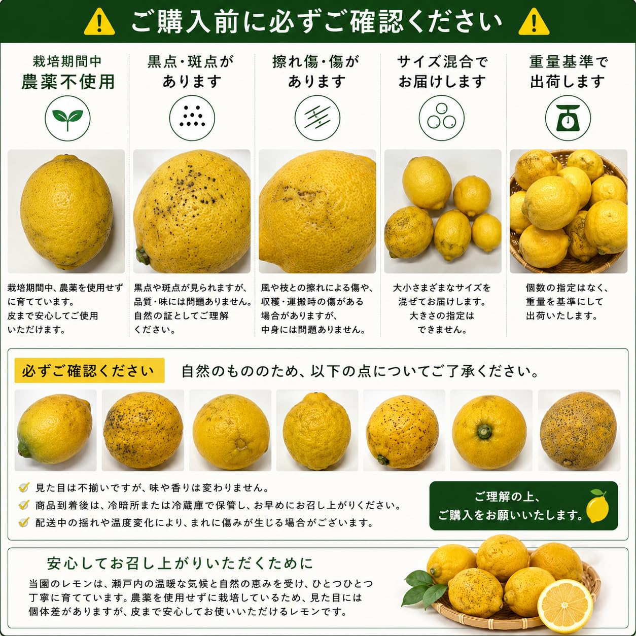 Amazon.co.jp: 国産レモン 2kg 広島県産 瀬戸内レモン 栽培期間中農薬